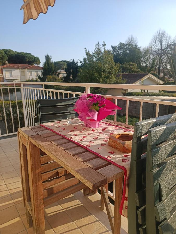 Le Palme 98 "Casa Vacanze" Lido di Camaiore Dış mekan fotoğraf